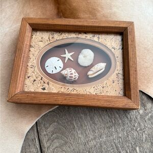 Wood Frame Shadow Box with Seashell Display - Brown